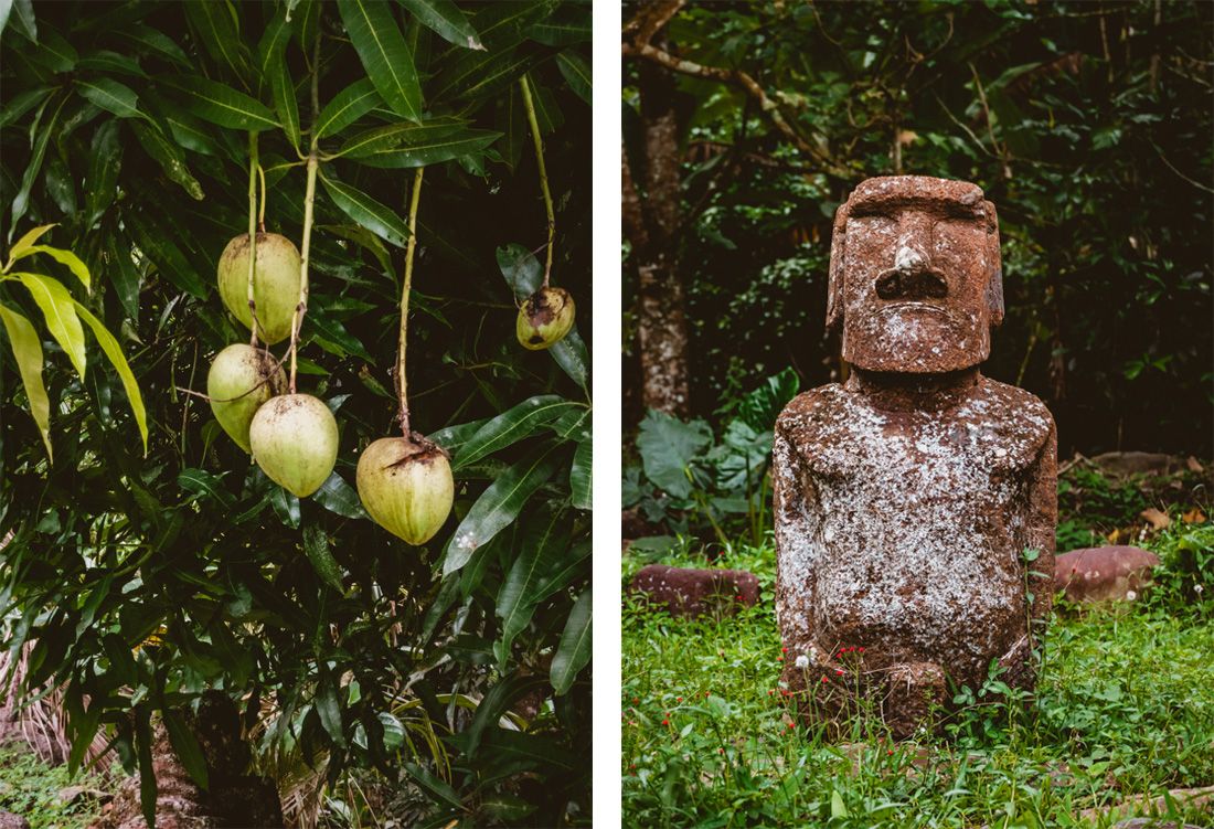 ancient tikis and archaeological site of Tohua Koueva in Nuku Hiva Marquesas