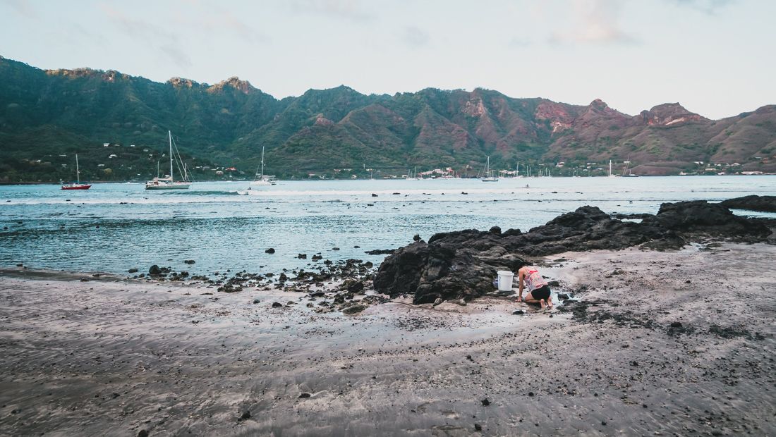 scooping sand on the beach for litter box on a sailboat