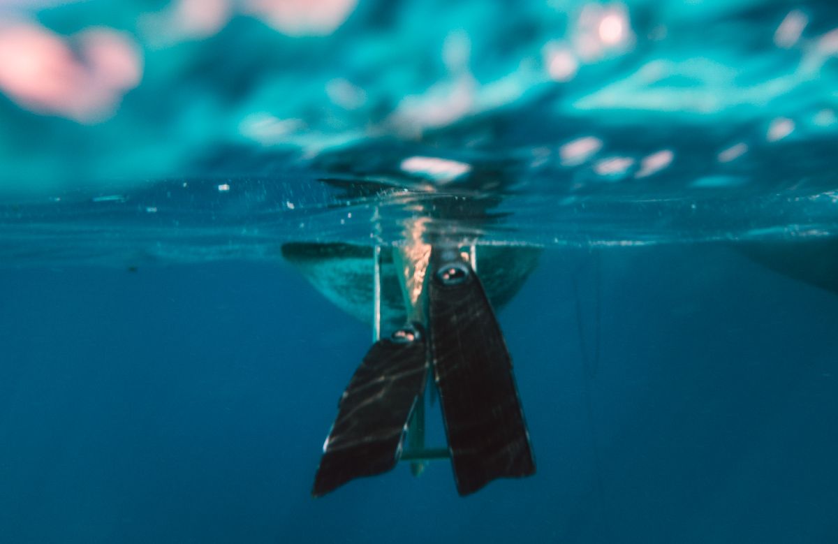 artsy shot of fins in the water on the back of sailboat