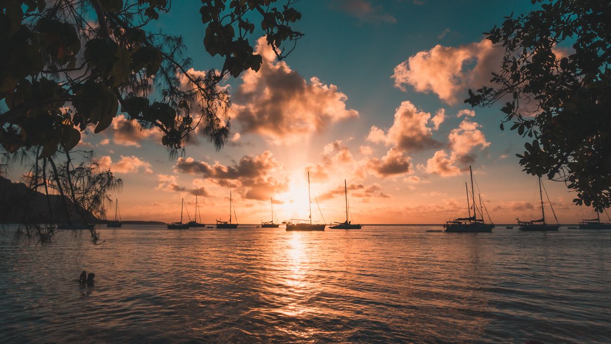 beautiful sunset from the beach in moorea