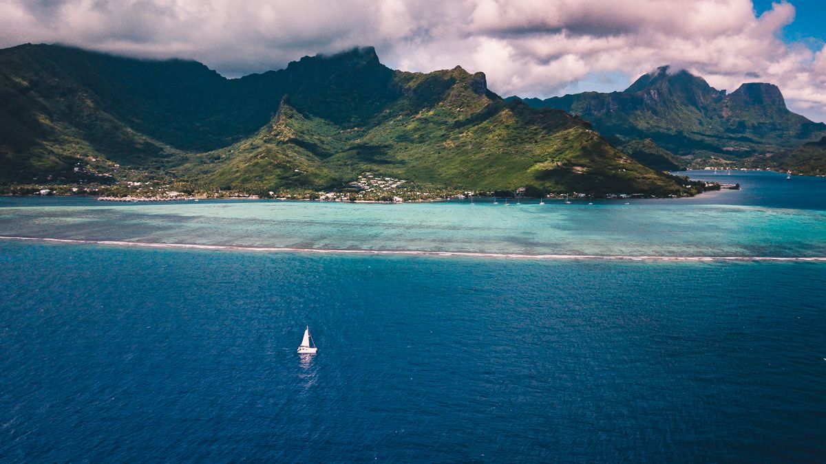 sailing vessel curiosity sailing along moorea, french polynesia