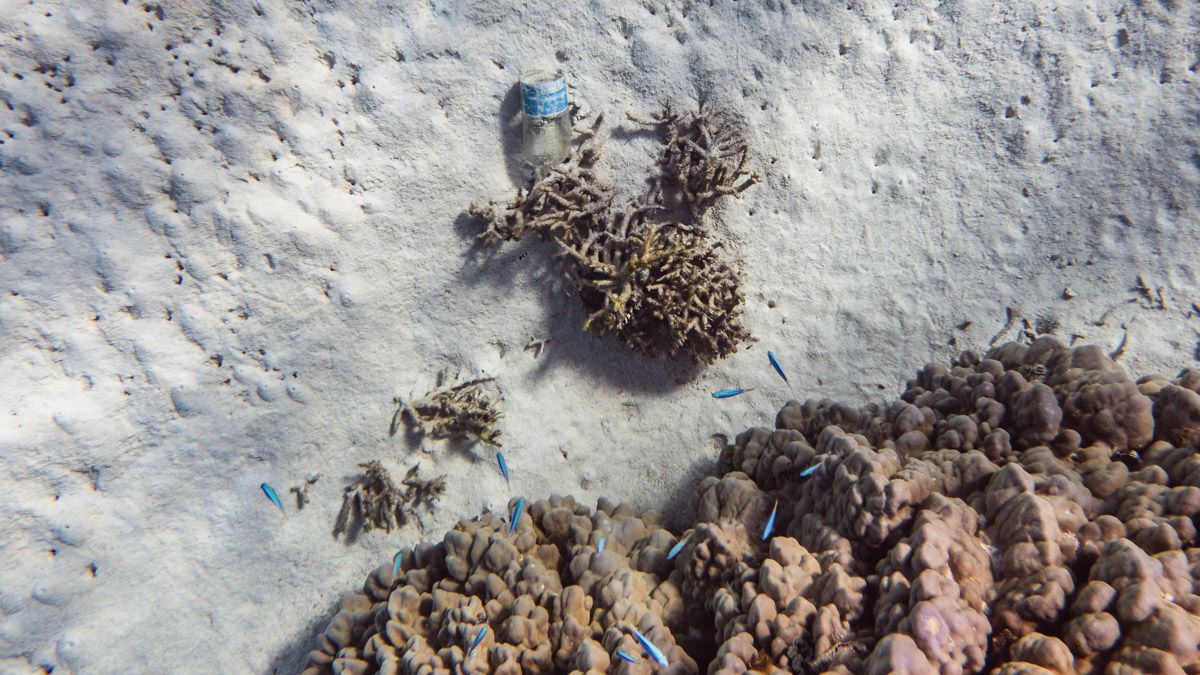 plastic in our oceans