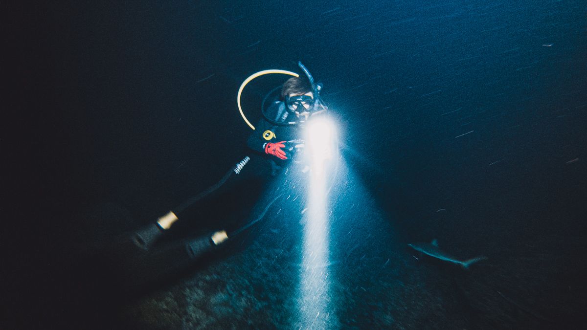 jason wynn night diving in Fakarava in the south pacific