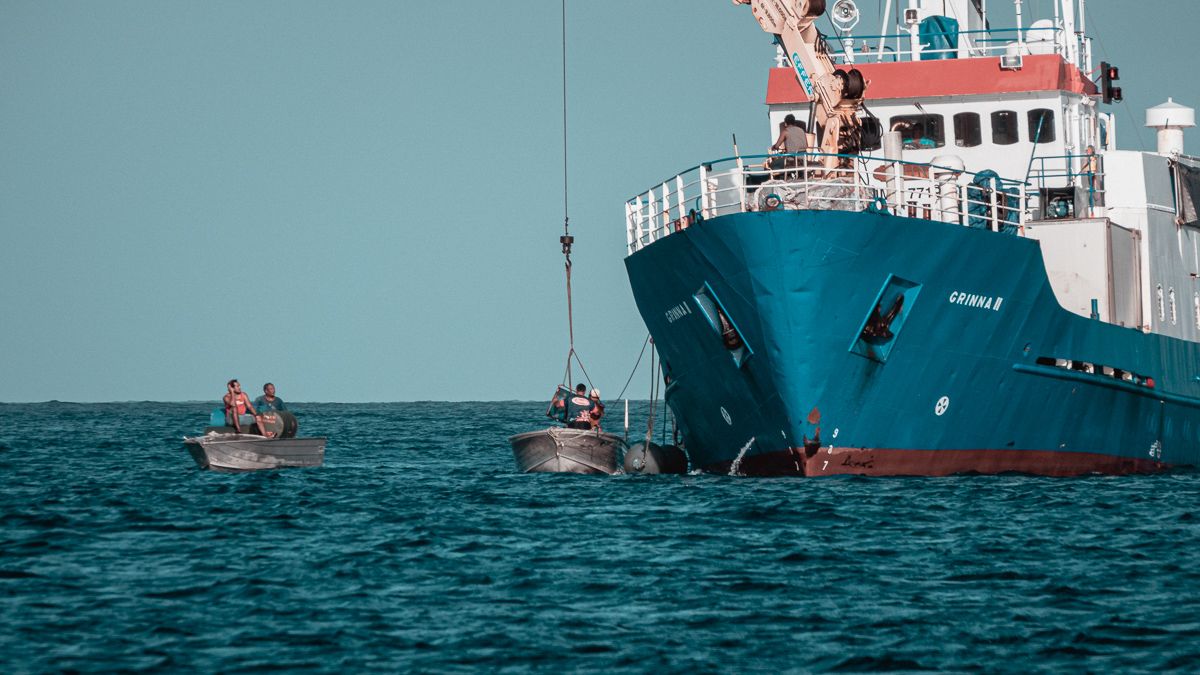 palmerston island delivery from container ship