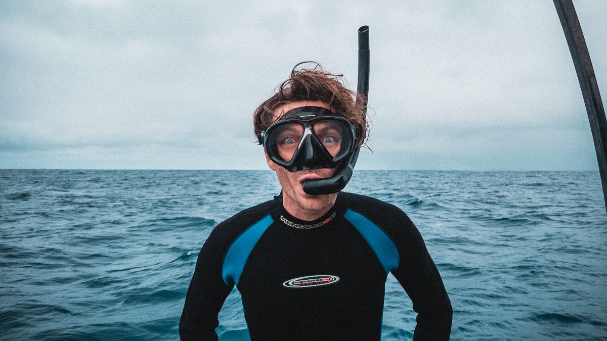 wynns swimming with whales in tonga