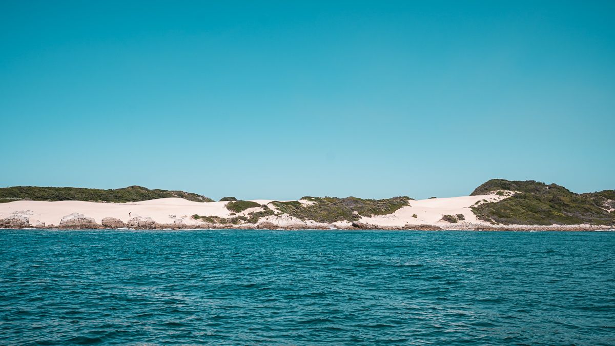sailing along the coast of st. francis in south africa
