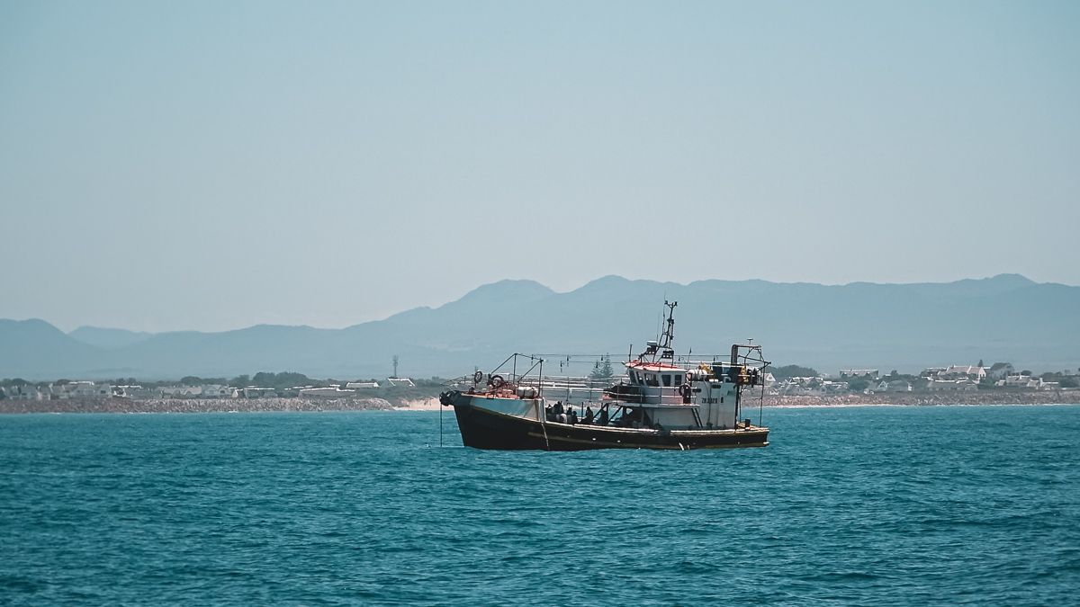 fishing boat in st. francis south africa
