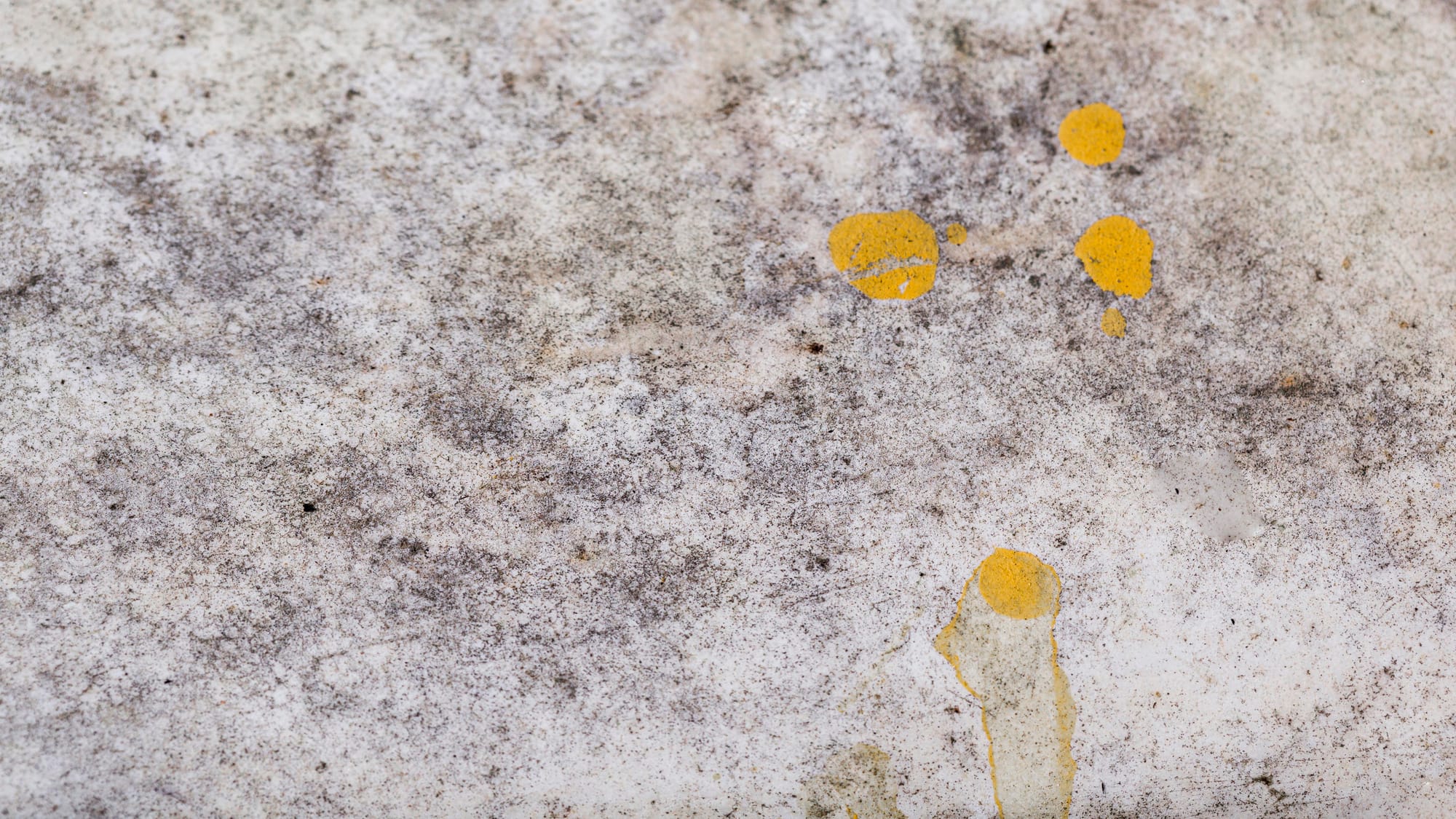moldy fabric