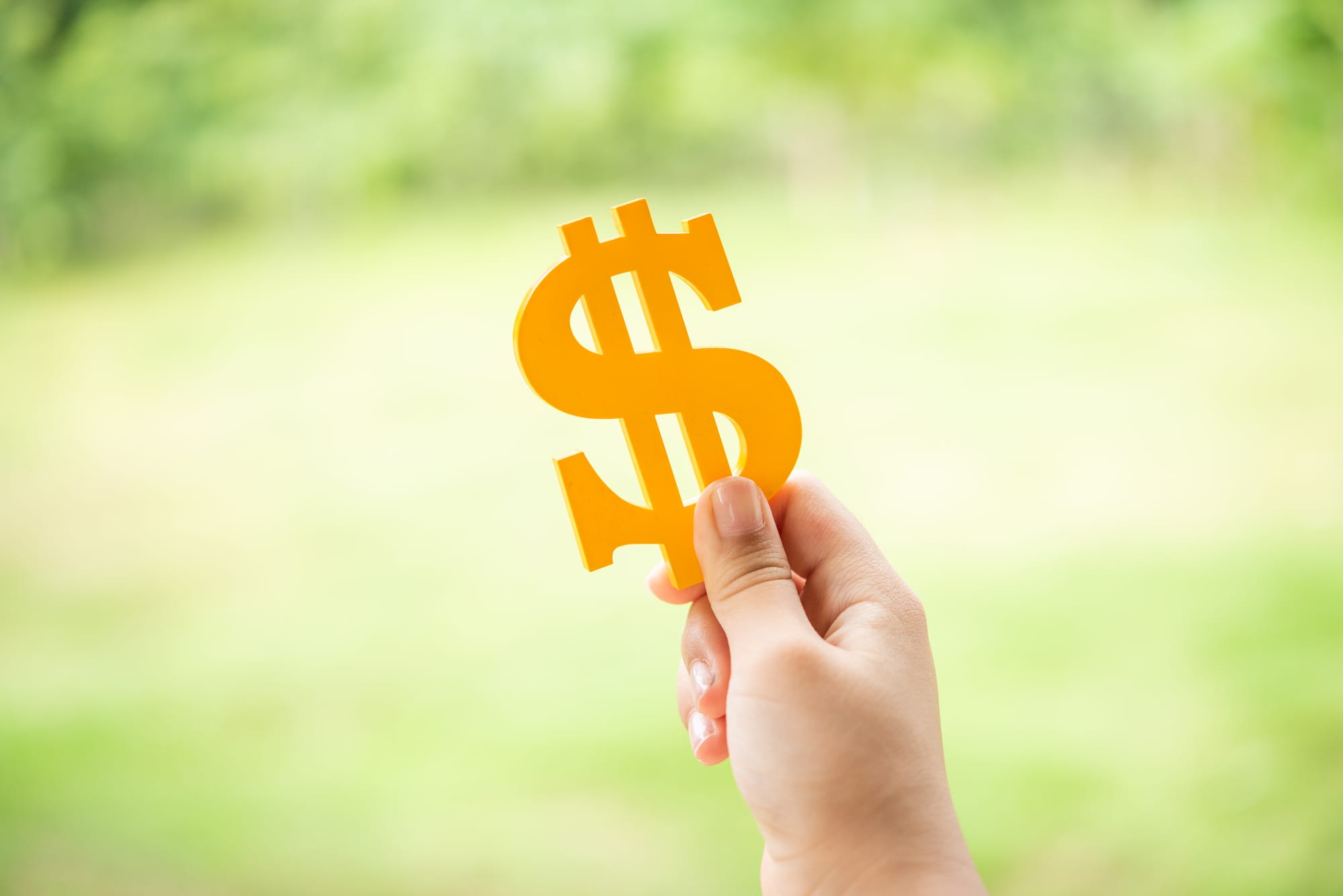 Dollar sign pricing