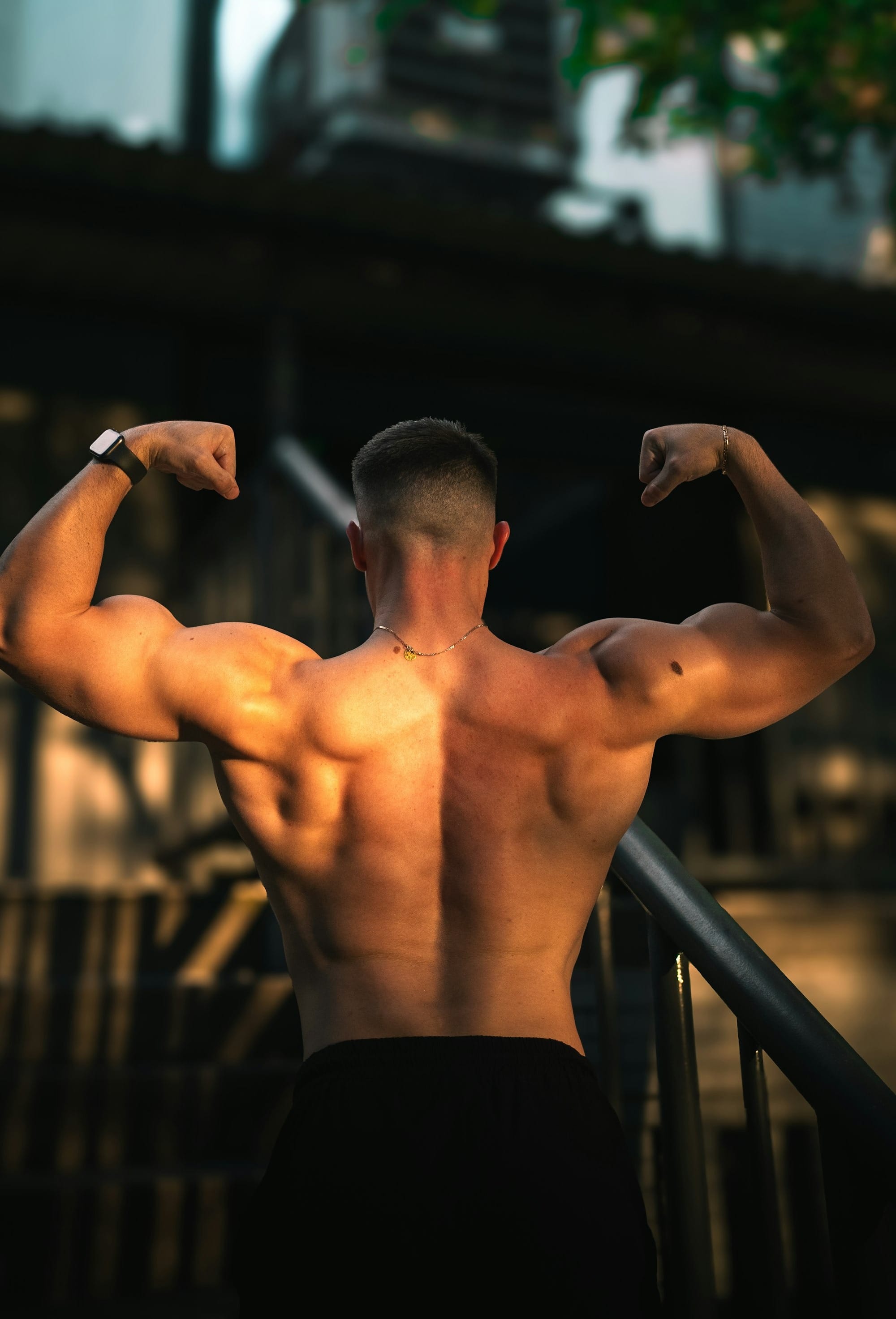 Dicas de treino para ganho muscular