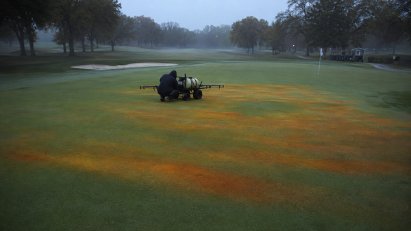 Someone Turned All 18 greens at University of Michigan’s Golf Course Orange.
