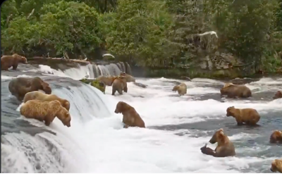 Meanwhile, In Alaska.