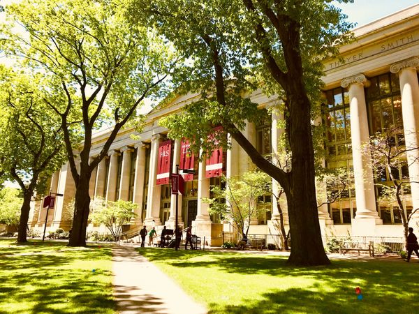 Harvard Built the Bureaucracy. Staff Will Pay for It.