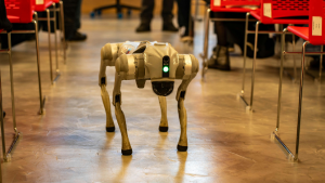Tony Robbins’ AI Agent Bought a Robot Dog (Behind His Back).