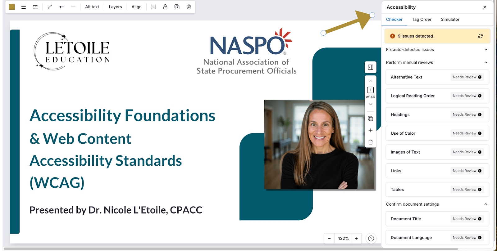 Screenshot of the Accessibility panel: a checker list of items needing review and a document language section set to English