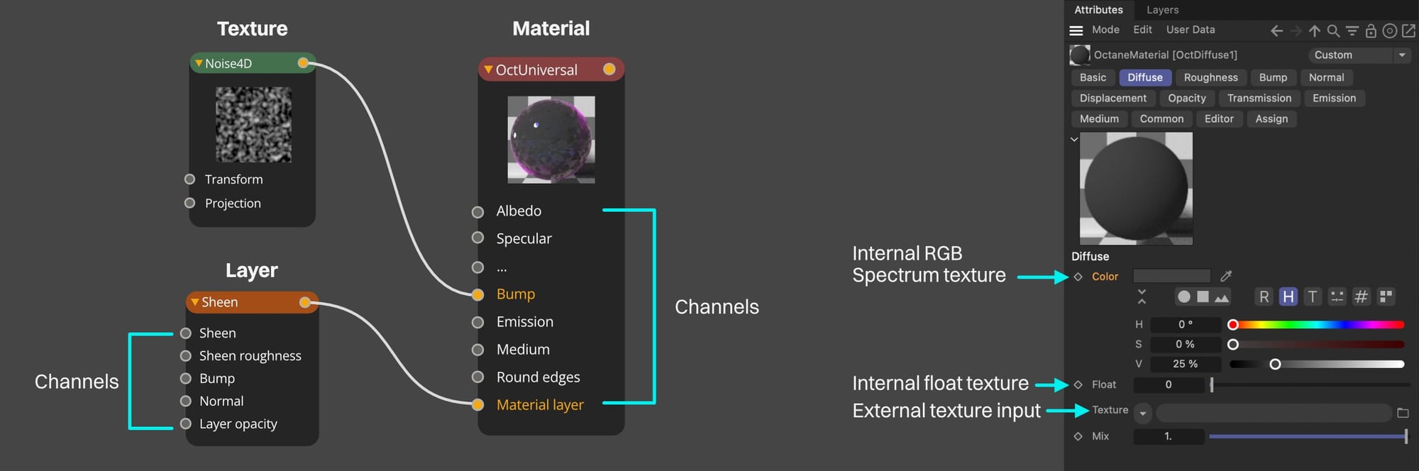 OG009-001-og009-xxx-material-anatomy