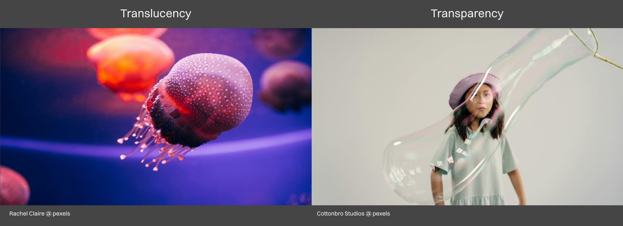 OG047-004-og047-103-transparency-translucency