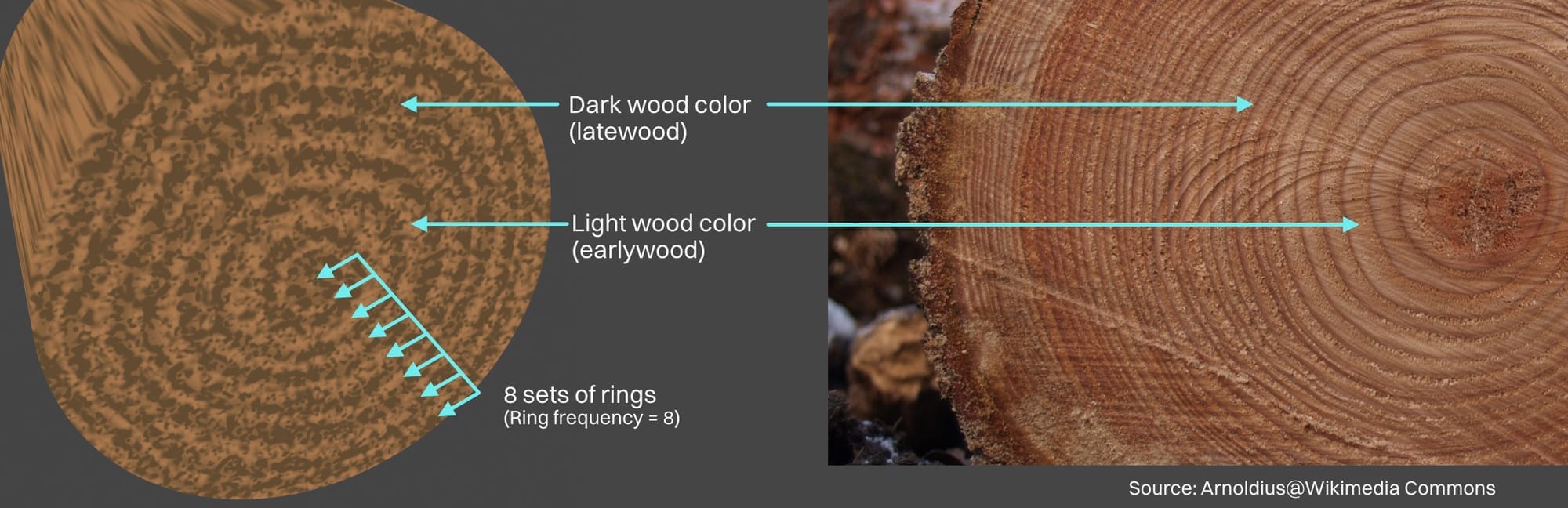 OG053-008-og053-204-log-rings