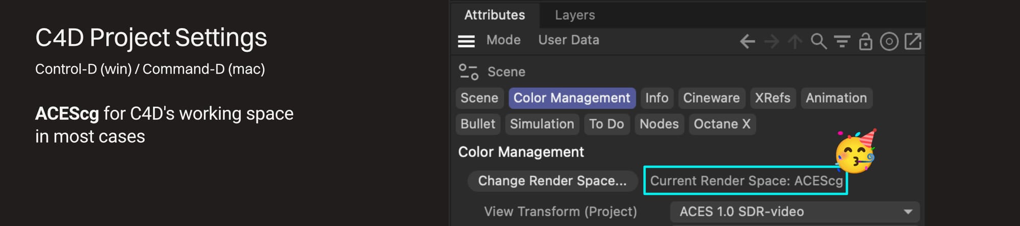 OGS1002-101-render-space