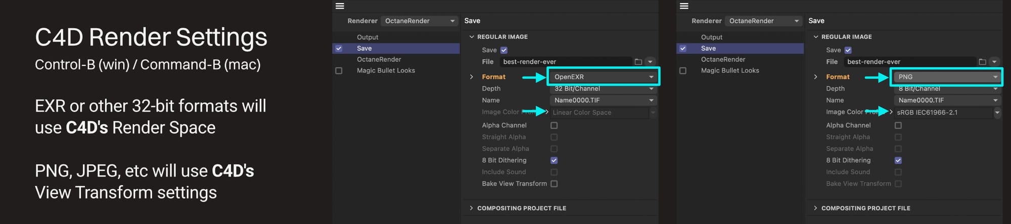 OGS1002-302-save-from-c4d