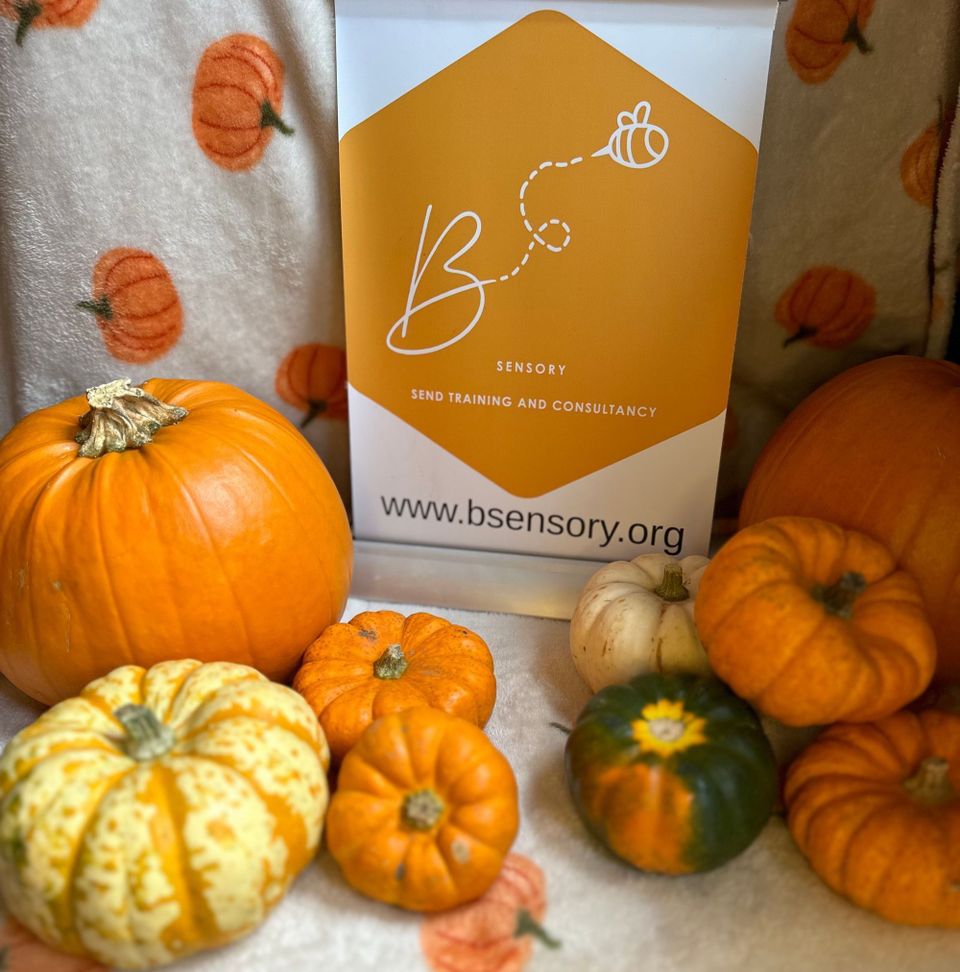 BSensory Autumn News Letter