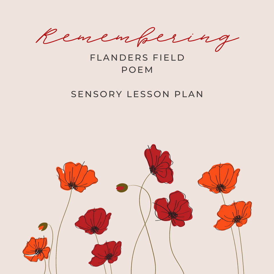 Flanders Field Poem