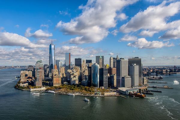 Transplanted across the seas