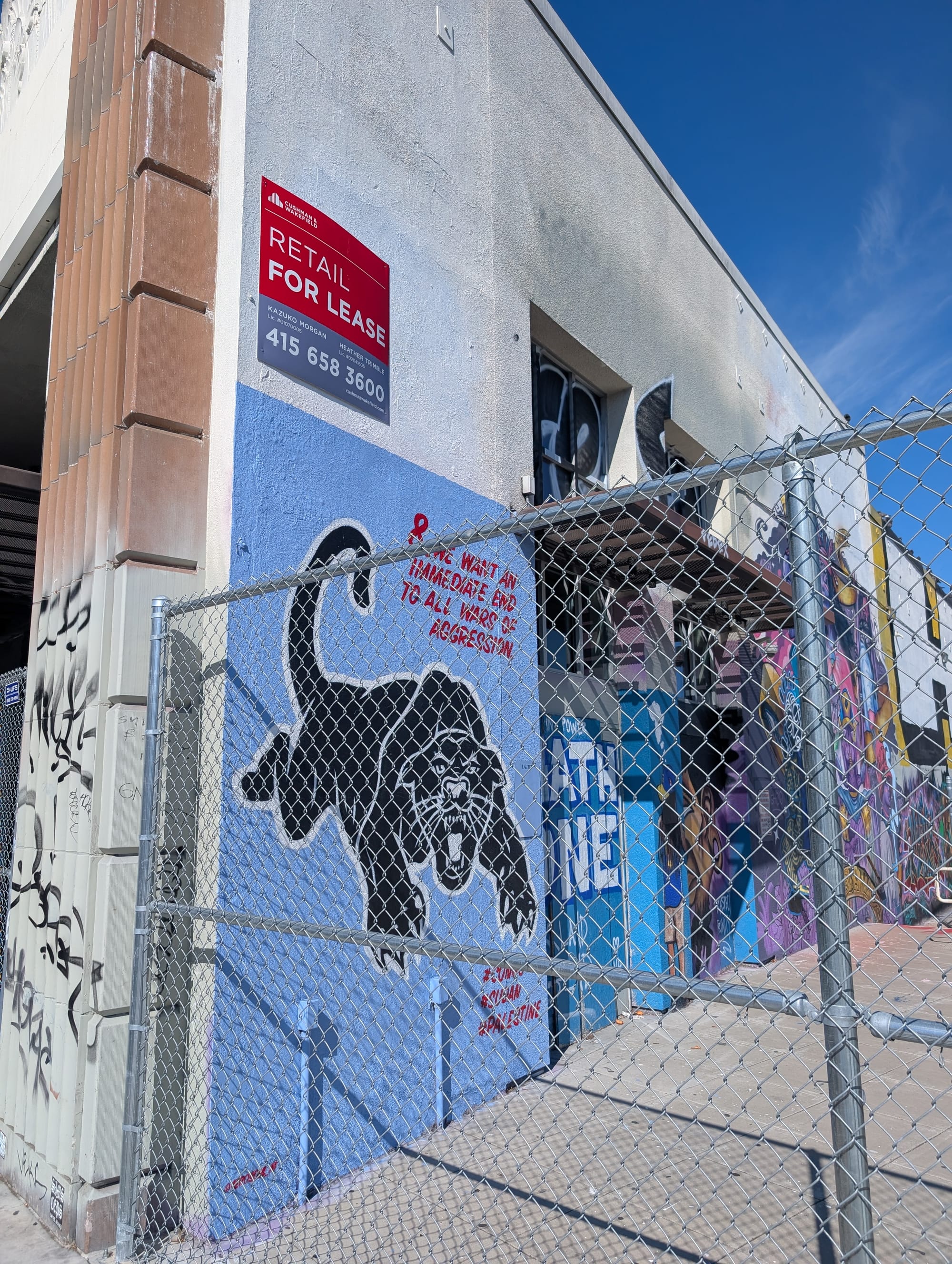 Black panther against a light blue background, along with the text, "We want an immediate end to all wars of aggression."