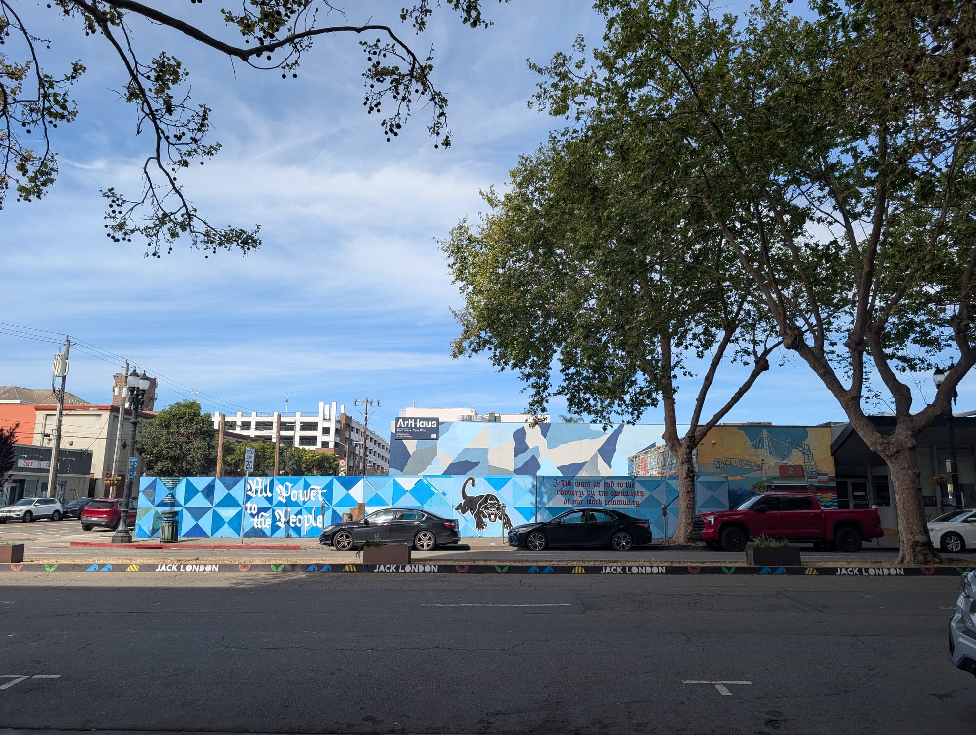 Panther mural against some wood fencing, painted with a blue backdrop. Text: "All power to the people."