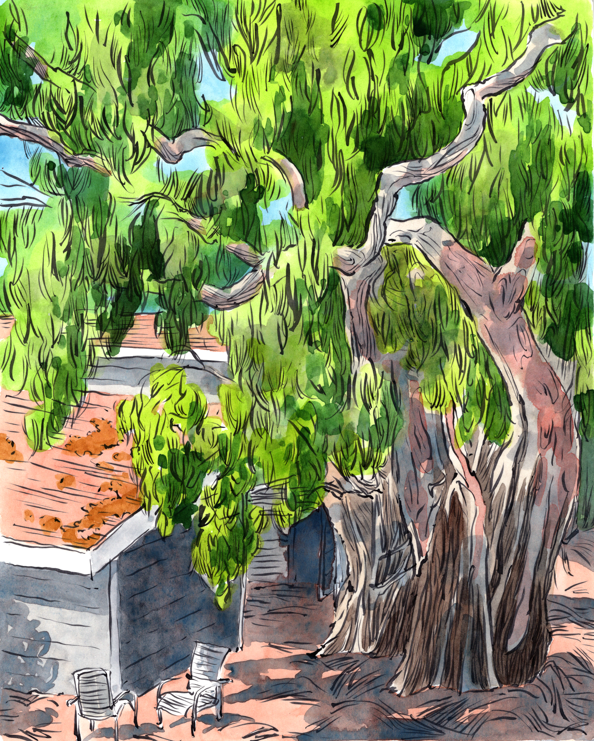 An illustration with a somewhat gnarled tree hanging over a couple buildings, with two white lawn chairs in the foreground.
