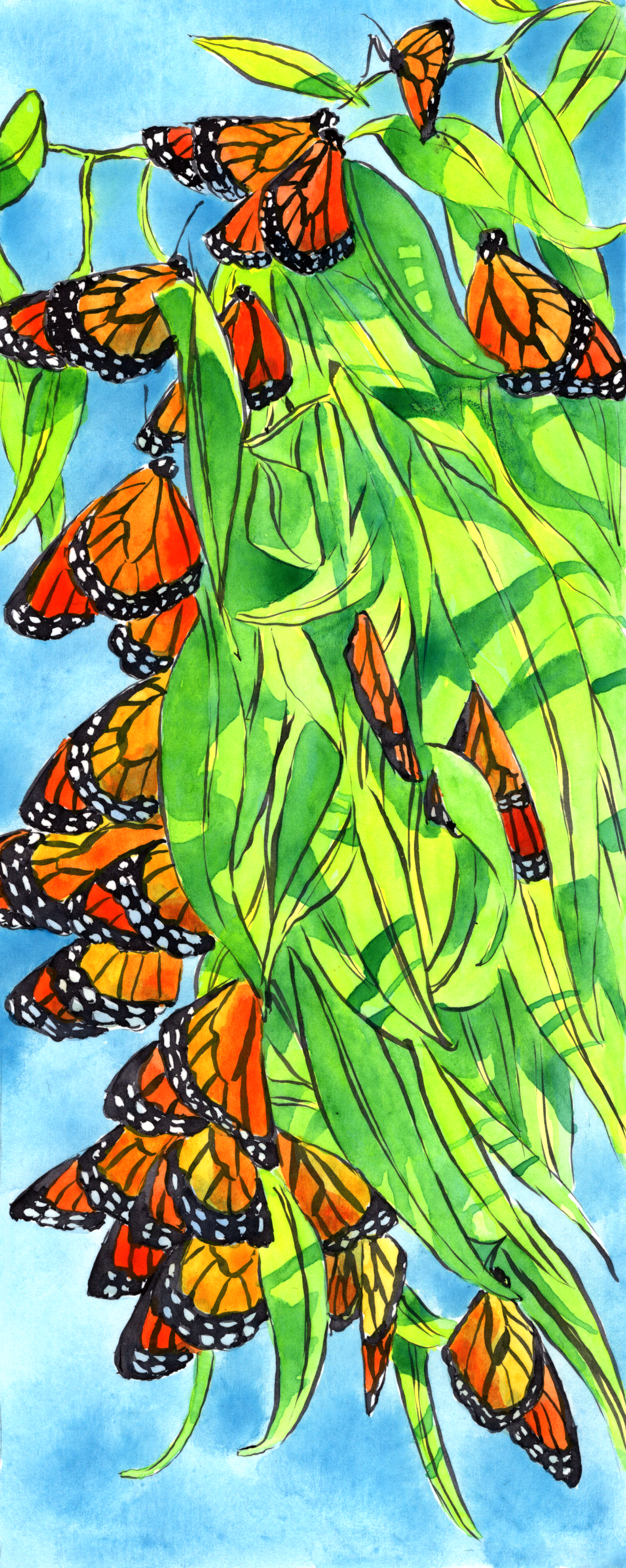 Butterflies hanging out among the leaves.