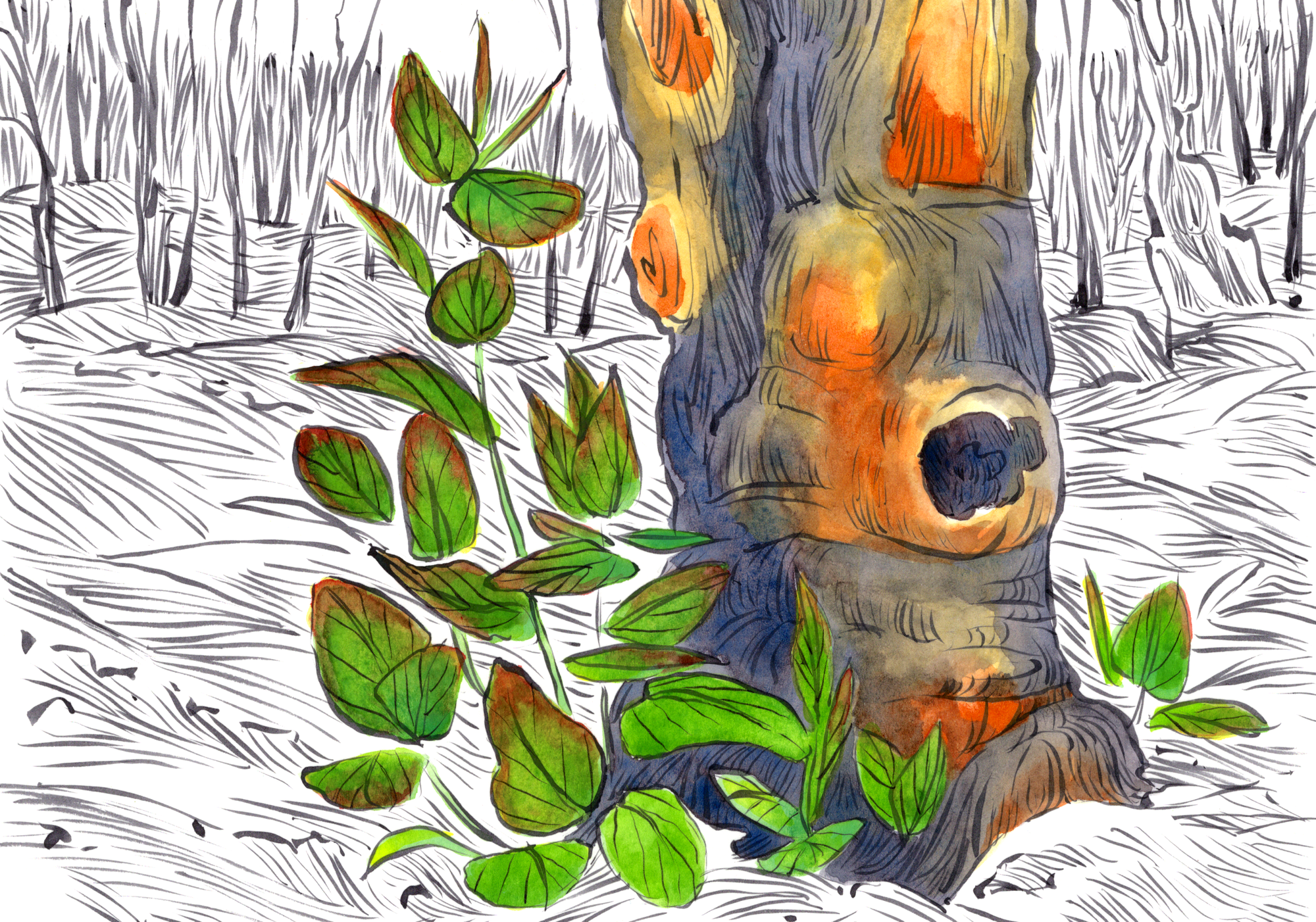 A trunk and some shoots nearby, with red-tipped green leaves, set against an ashen-white landscape. 