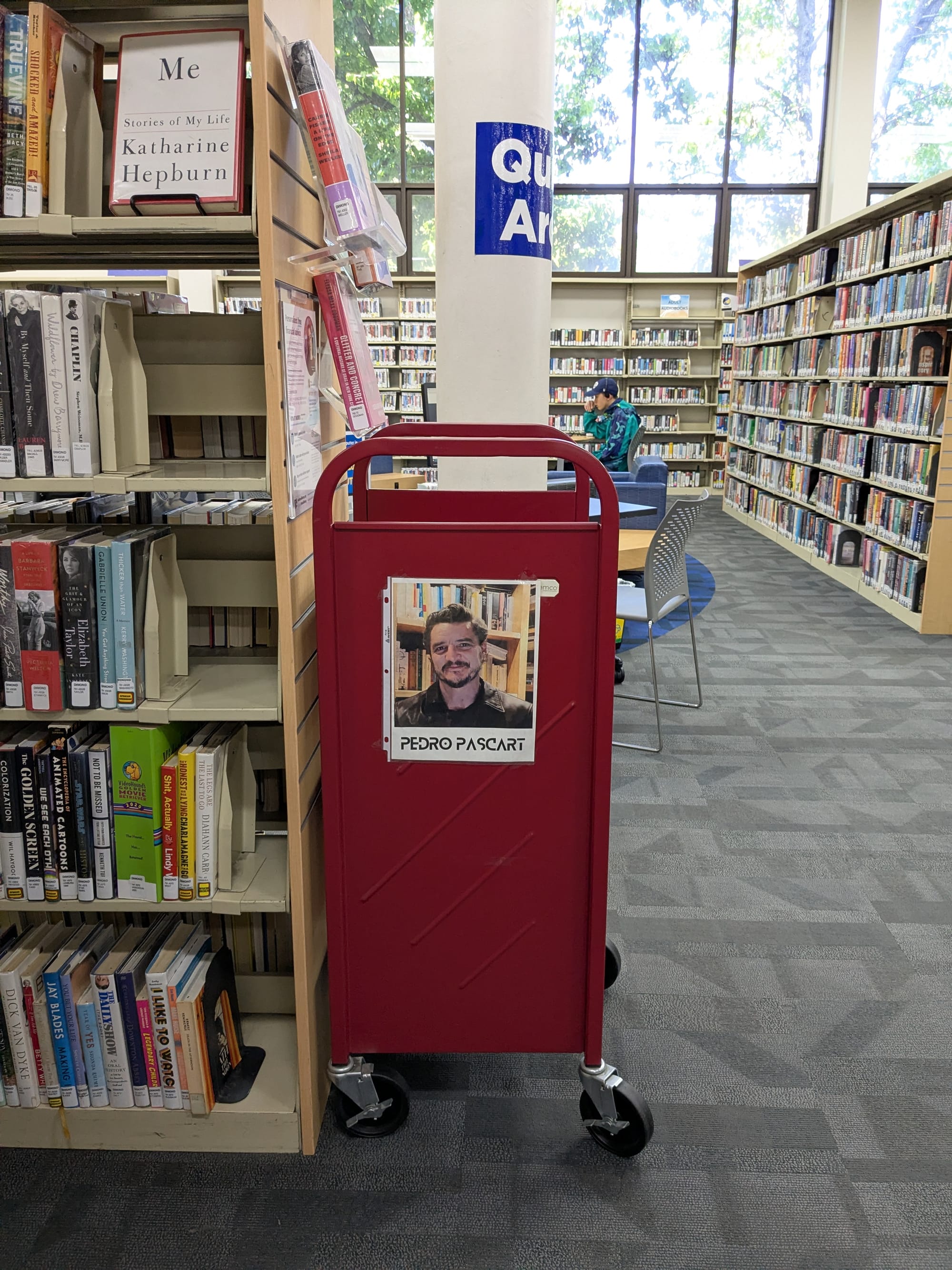 "pedro pascart" in a public library (a picture of pedro pascal on a cart)