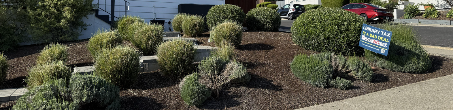 A landscaped bit of yard, with a "library tax is a bad deal" sign on it.