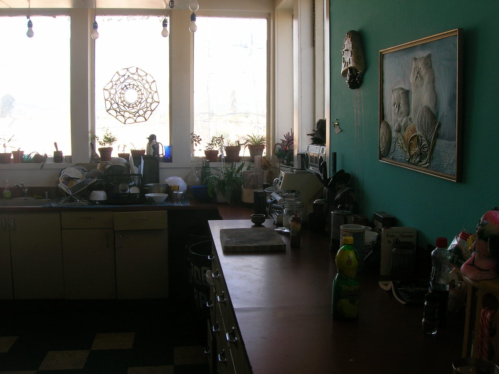 a quite contemplative shaded kitchen