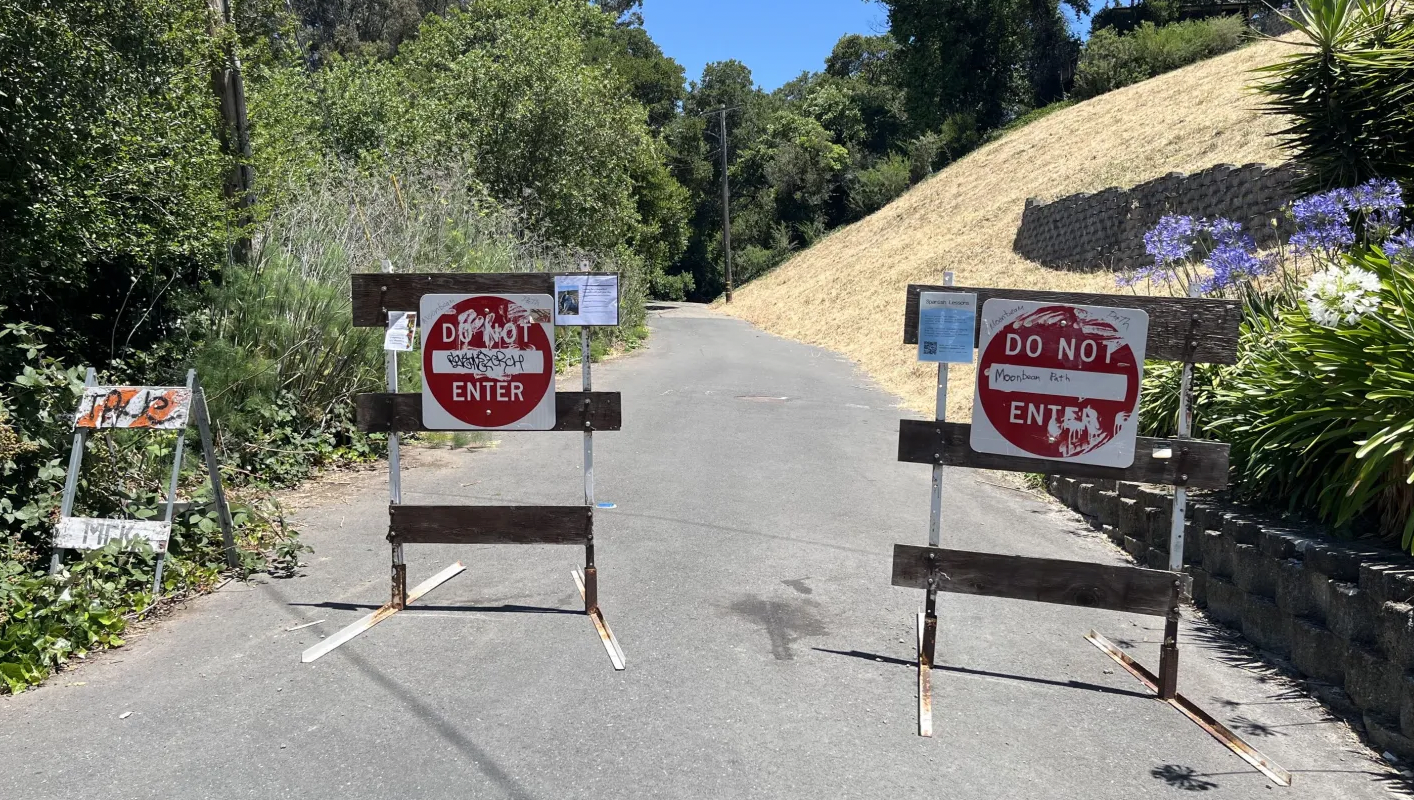 Do Not Enter signs telling you what not to do, on a road into the woods