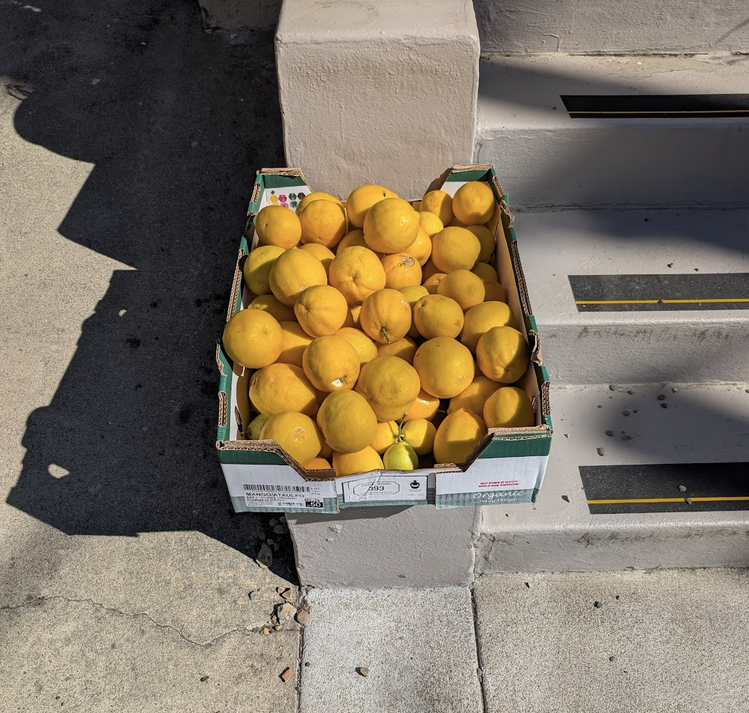 Lemons in a box, to take.
