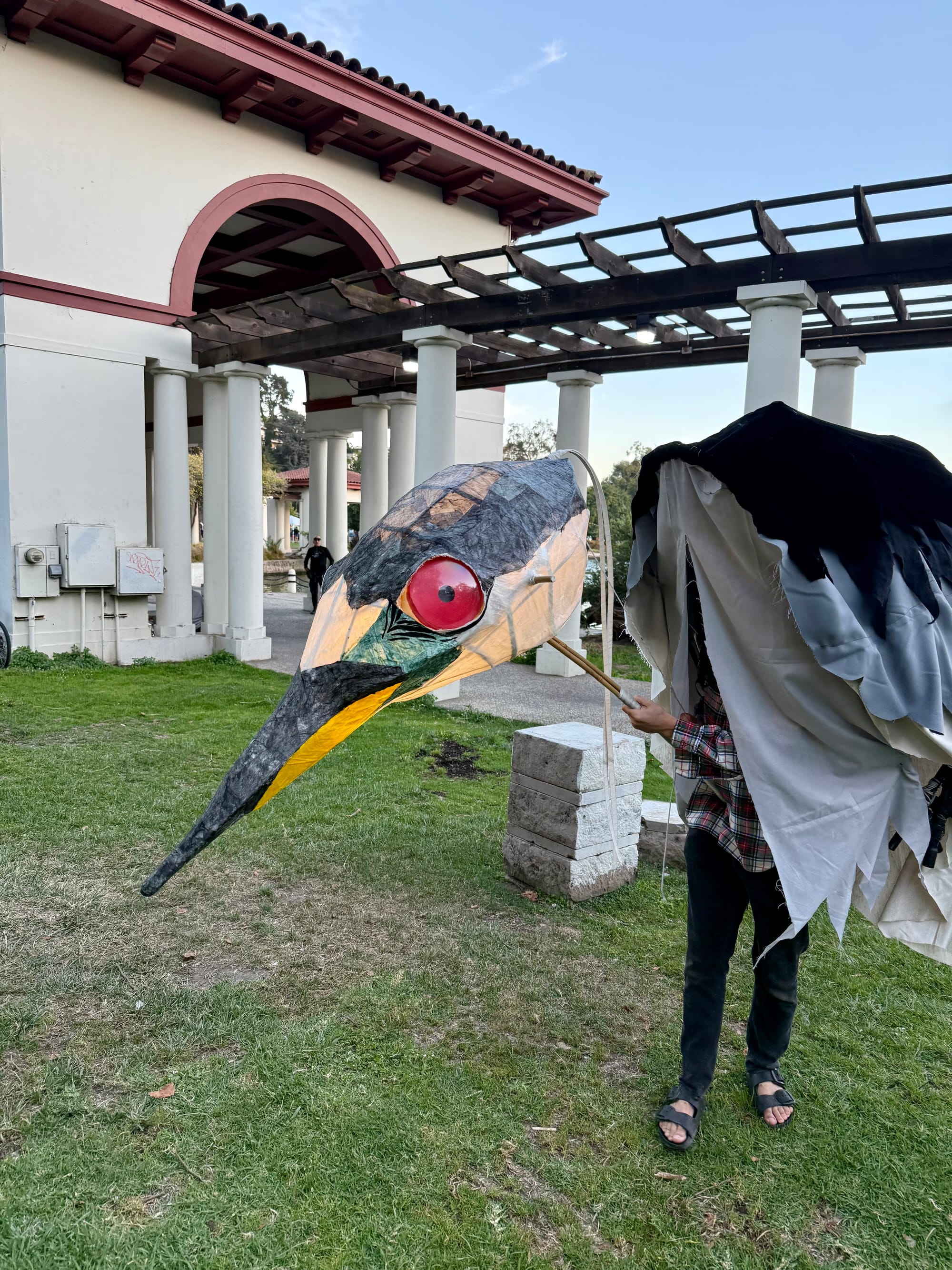 Night heron puppet.