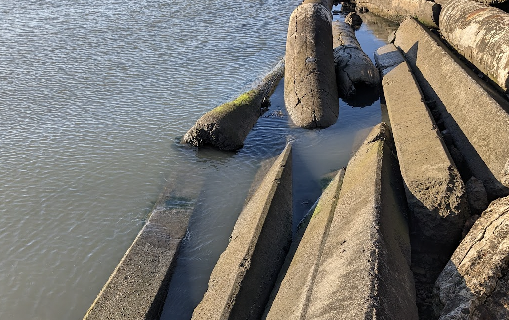 cement piles in the bay