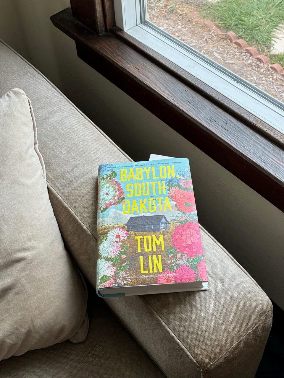 another photo of the book on the couch