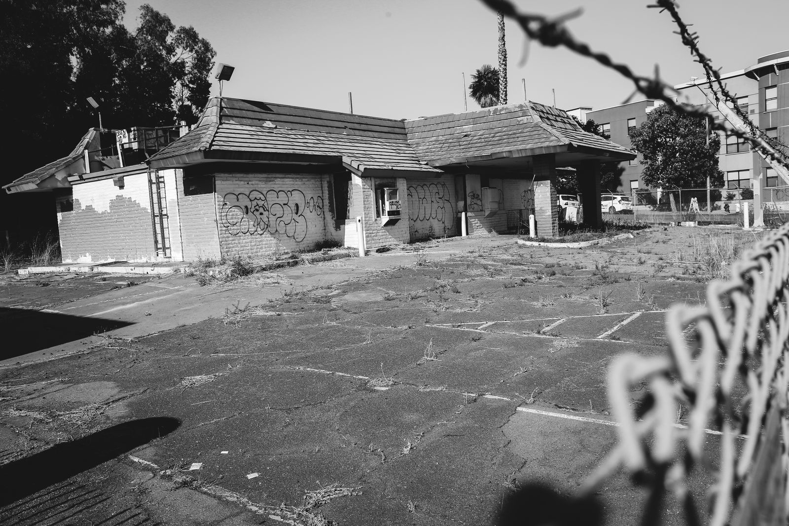 The Old McDonald's