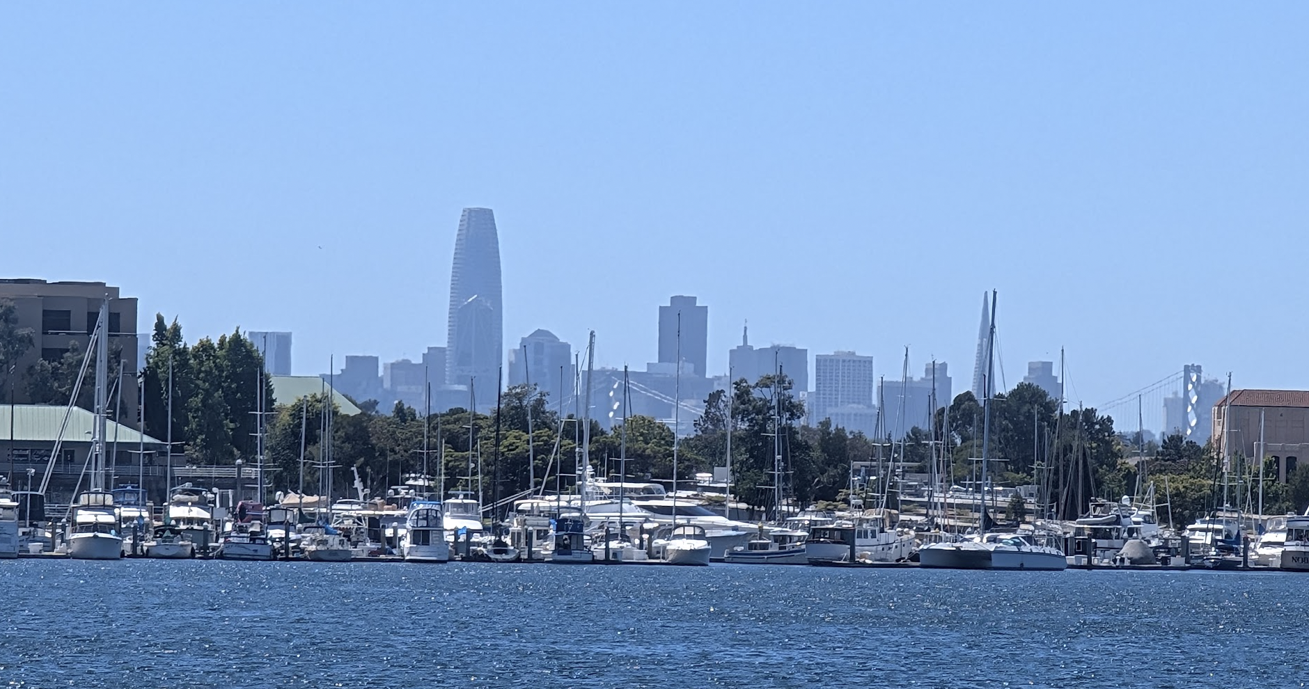 The west bay's skyline looming over Alameda like threatening charismatic megafauna.