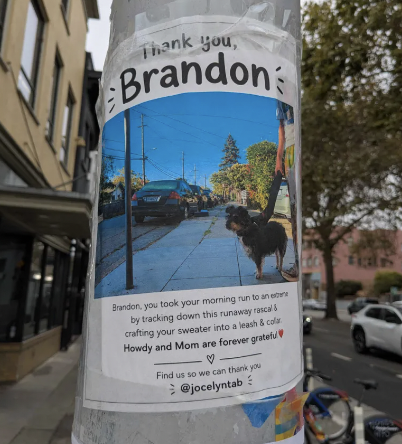 A "Thank you Brandon for helping catch a lost dog!" sign on a lamppost.
