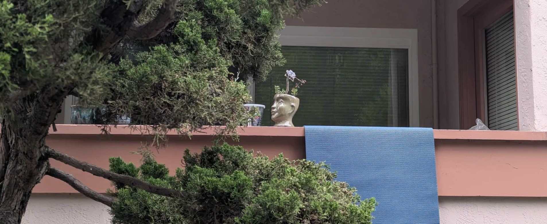 Head-planter, yoga mat, general front porch vibes.