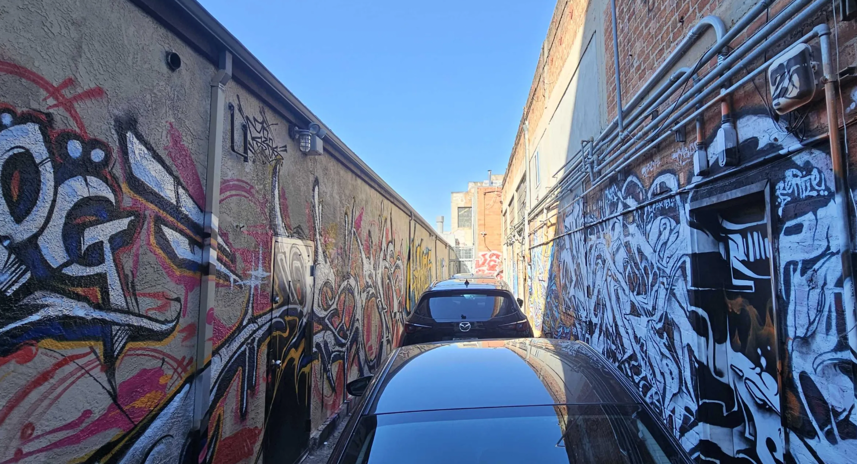Cars packed tight in an alley with glorious tags.