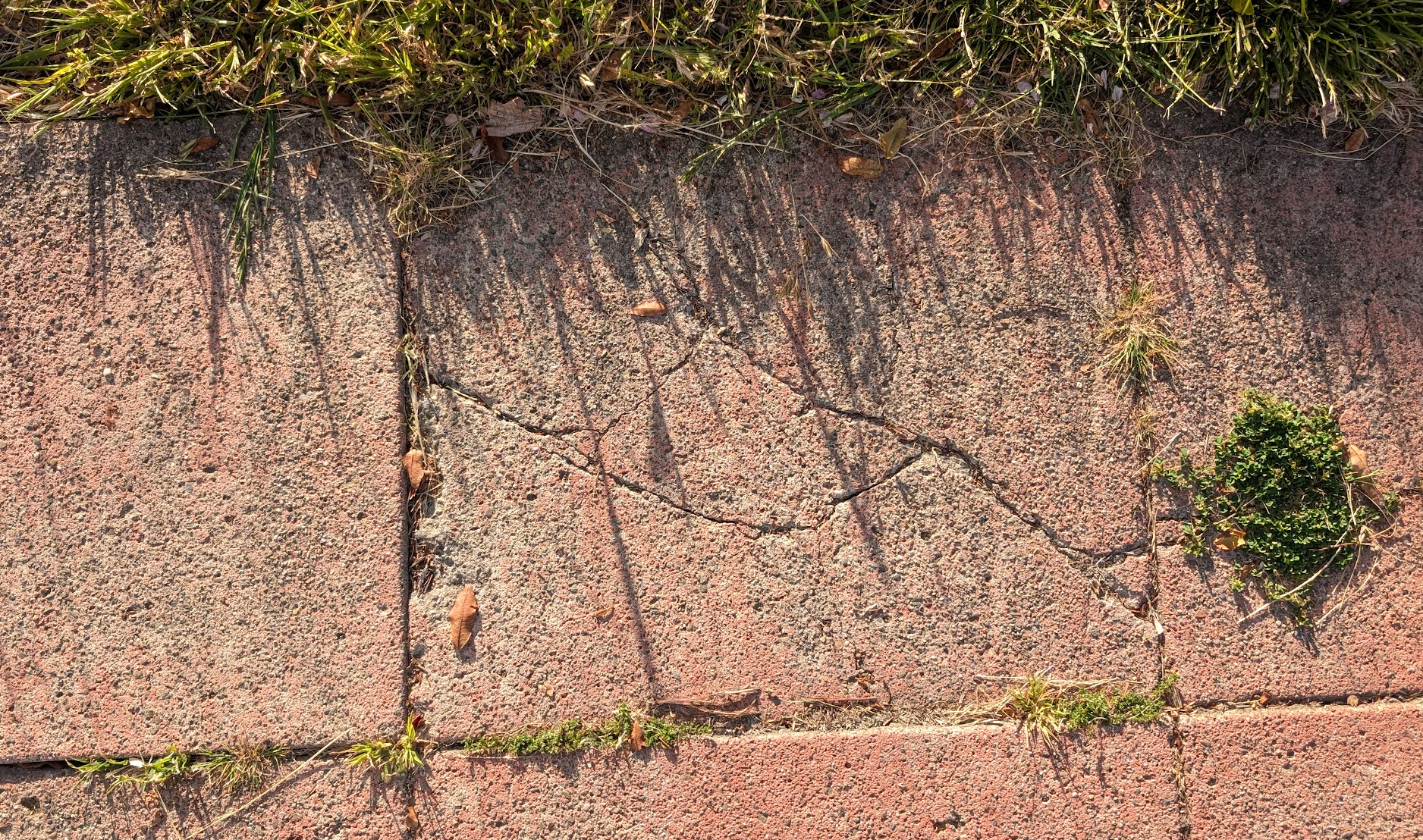 Oakland Review of Books calendar (of not just literary events), May 6–12