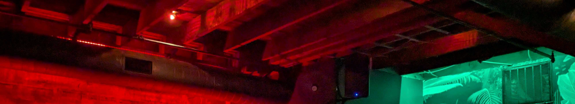 "Polar bear mixed with a cat"