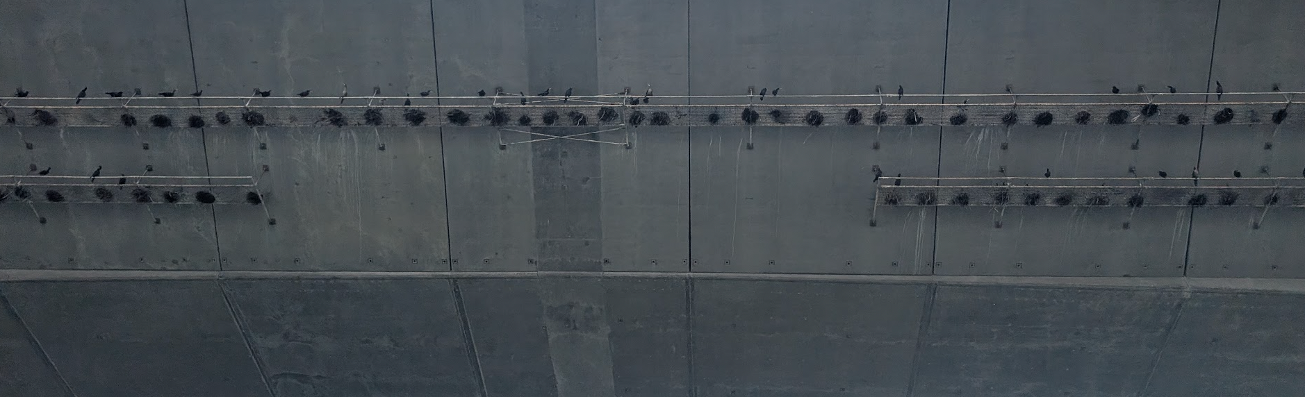 Oakland Review of Books calendar of (not just) literary events, July 22 – July 28