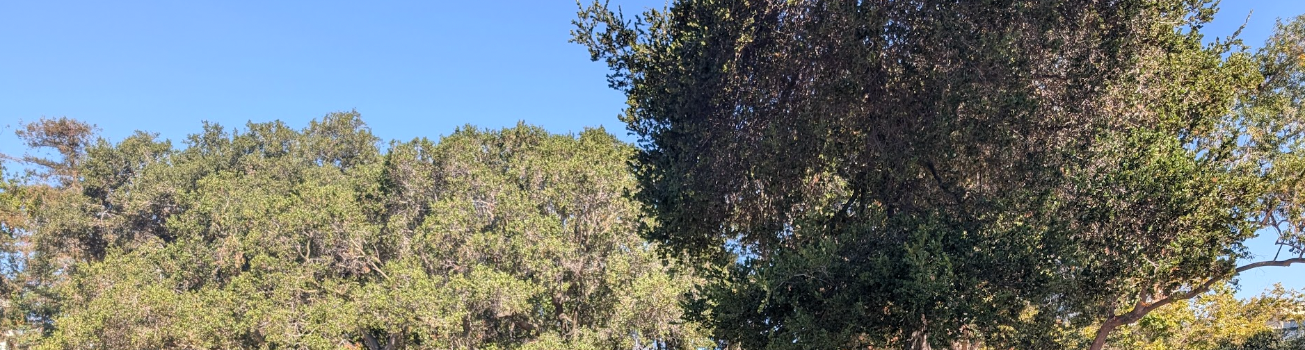 Oakland Review of Books calendar of (not just) literary events, September 2 – September 7