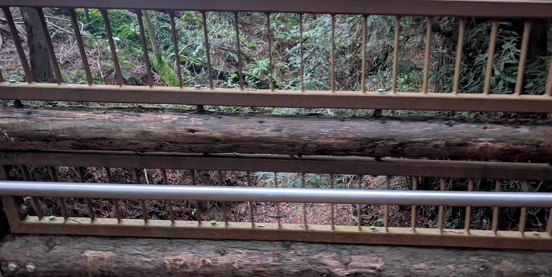 Oakland Review of Books calendar of (not just) literary events, November 11 - November 16